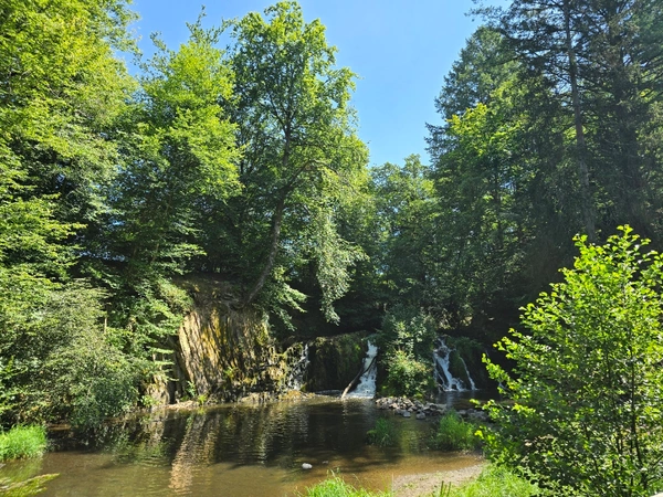 Wignehies