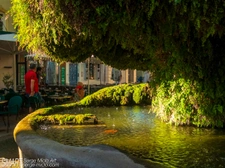 Salon-de-Provence