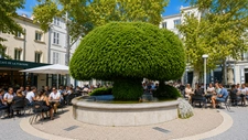 Salon-de-Provence