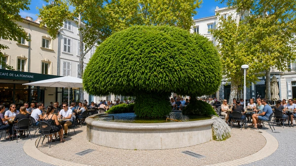 Salon-de-Provence