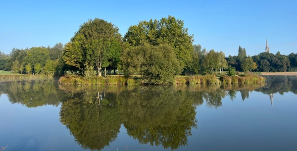 Le marché de la location à Plessé