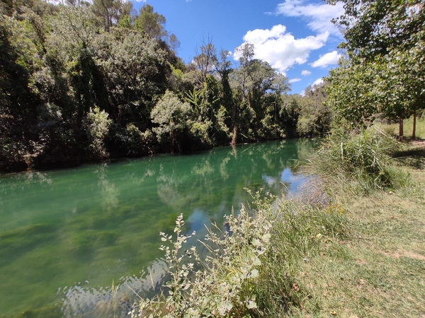 Découvrez la Provence Verte : Un Écrin de Beauté au Cœur de la Provence