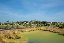 capifrance