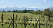 Lucq-de-Béarn