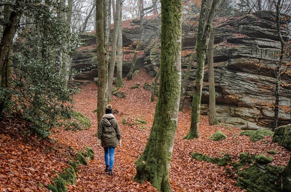Le GR5 : un sentier d’exception entre Abreschviller et Apach