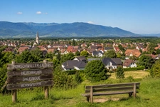 Contacter Pascal SCHMERBER, votre conseiller immobilier Optimhome à Morschwiller-le-Bas