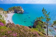 capifrance