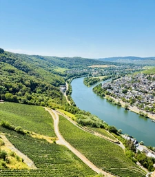 Les actualités de l’immobilier à Sierck-les-Bains (57480) et en France