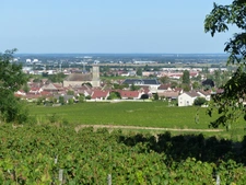 Marsannay-la-Côte