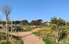 Montpellier