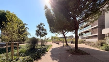 Montpellier