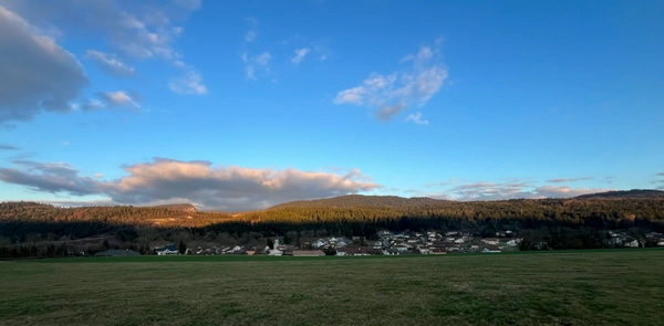 Condamine