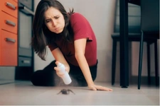 C’est l’histoire d’un acquéreur qui achète un appartement infesté d’insectes …