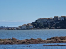 Bages