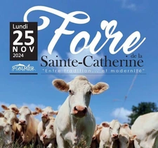 Foire Sainte Catherine