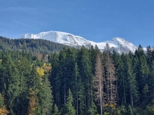Évolution des prix aux Contamines‑Montjoie sur 6 mois