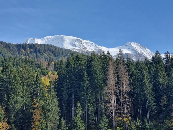 Évolution des prix aux Contamines‑Montjoie sur 6 mois