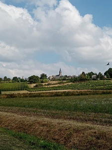 Native de la région, je vous propose une expertise immobilière et un accompagnement sans faille.