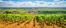 PESSAC