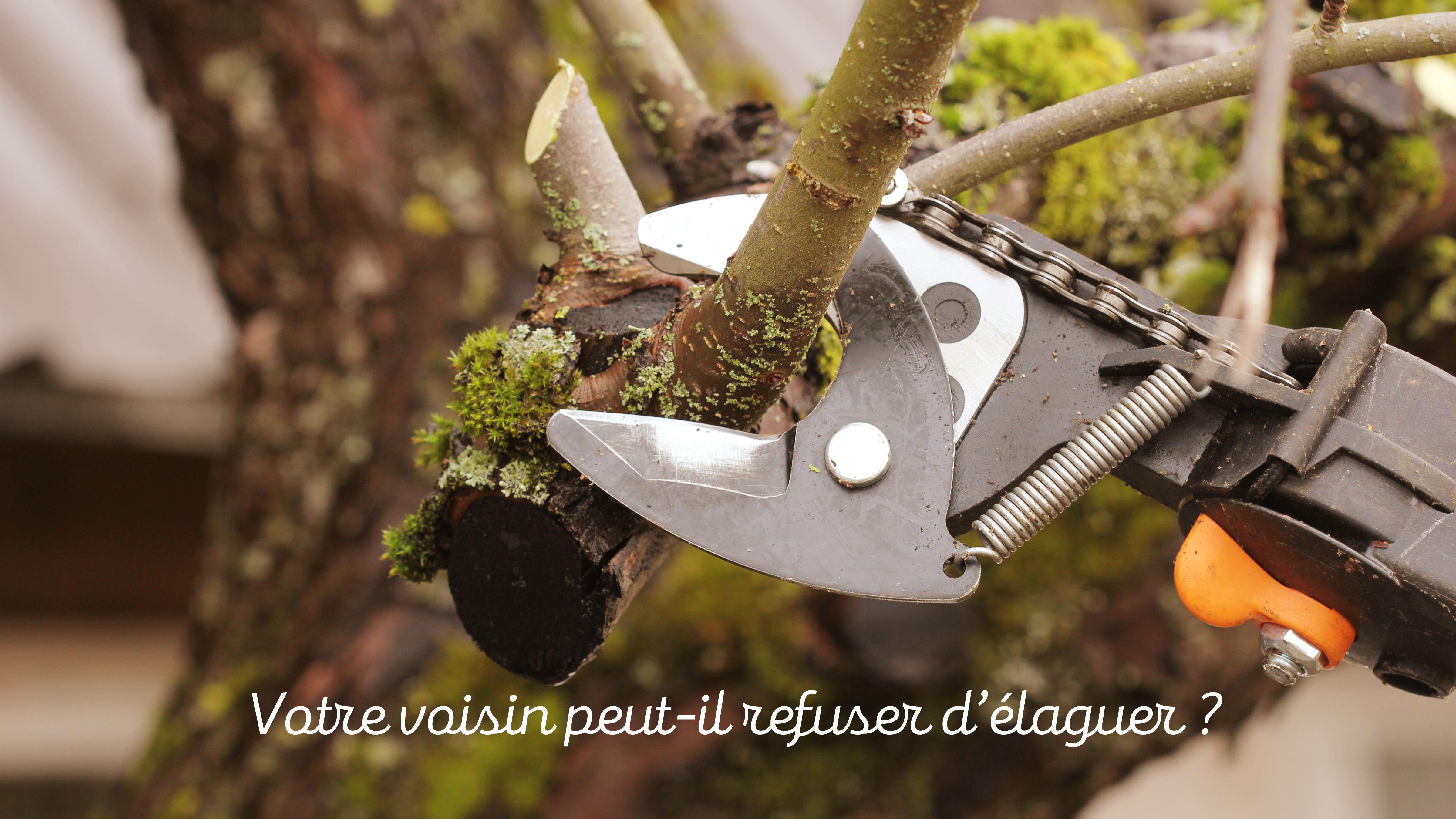 Votre voisin peut il refuser d'élaguer ?