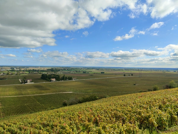 Nuits-Saint-Georges