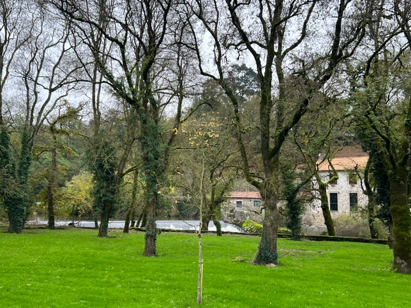 Mortagne-sur-Sèvre