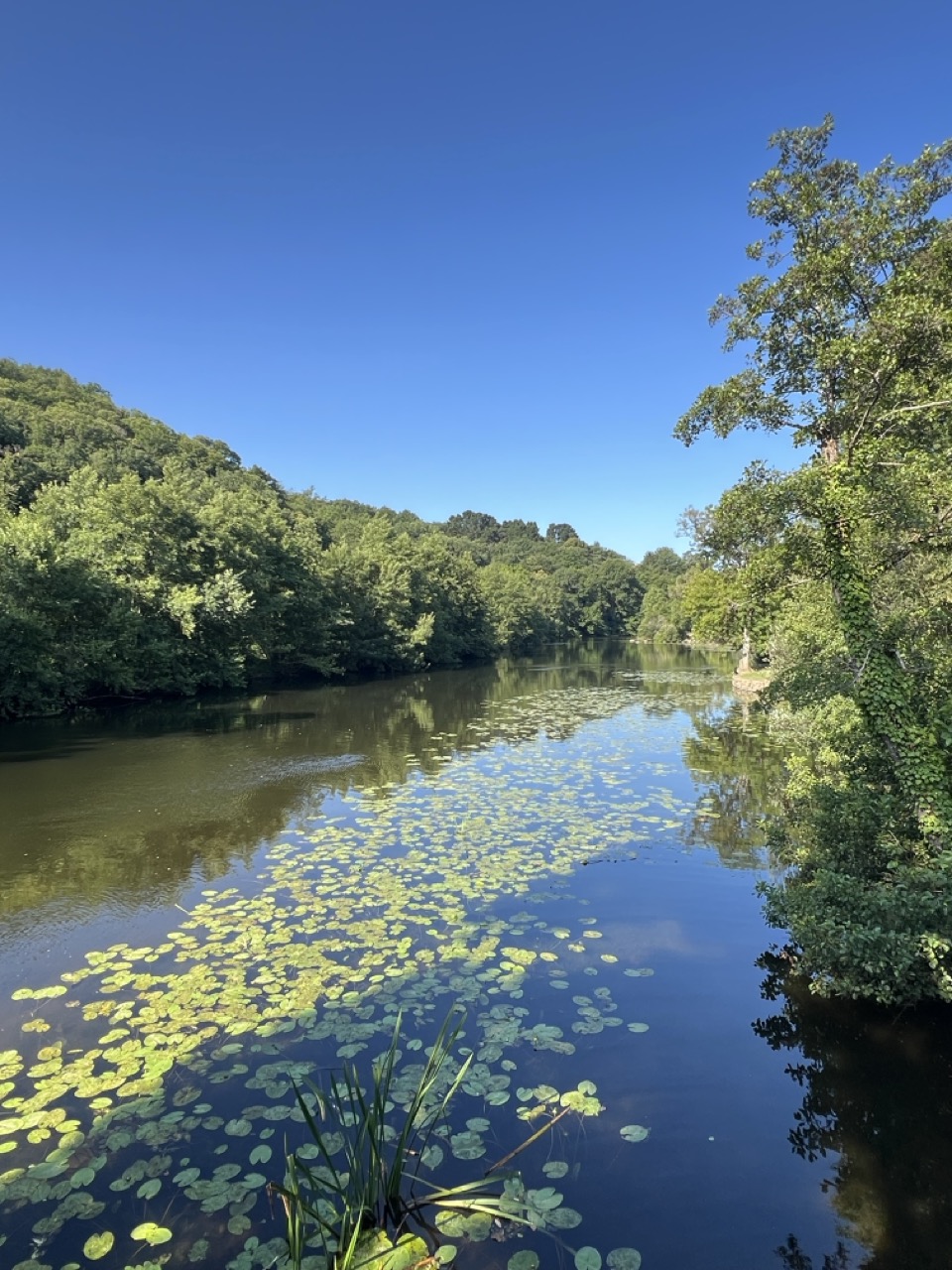 Mortagne-sur-Sèvre