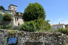 Augé