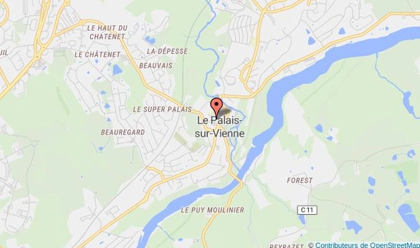 Le Palais-sur-Vienne