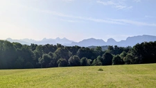 Arbusigny