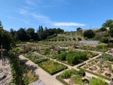 capifrance
