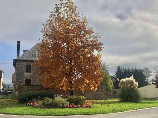 Villers-devant-Mouzon