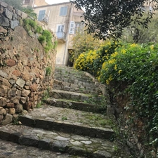Originaire de la région, je propose une expertise immobilière locale et un accompagnement sans faille.