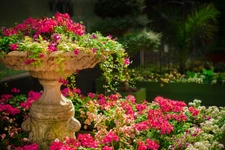 Pourquoi vendre son bien immobilier au printemps ?