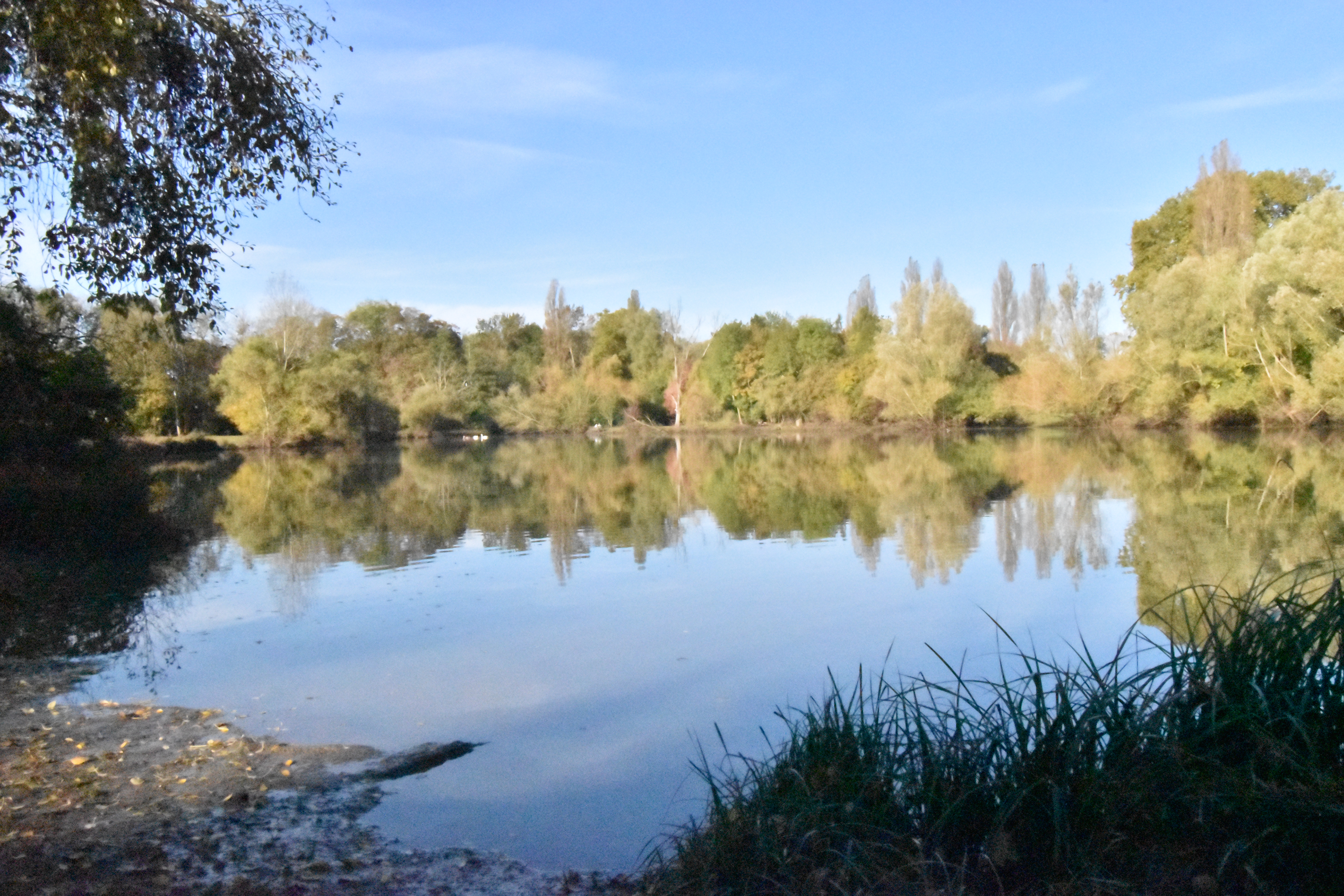 MORSANG SUR ORGE