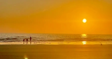 LA VENDEE (85)