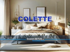 COLETTE ET L'IMMOBILIER, avec Damien BETUS