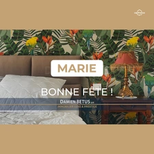 MARIE & IMMOBILIER : votre projet avec Damien BETUS | Capifrance