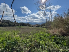 🌿 Balagne : la valeur sûre de l’immobilier en Corse 🌿