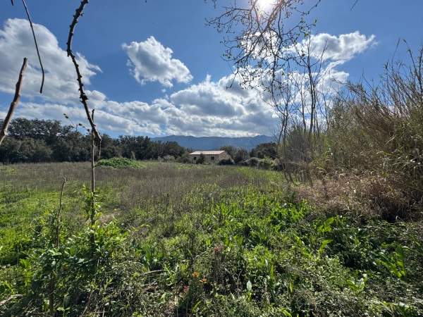 🌿 Balagne : la valeur sûre de l’immobilier en Corse 🌿