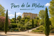 Immobilier autour du Parc de la Moline (13012) : Prix, marché et conseils