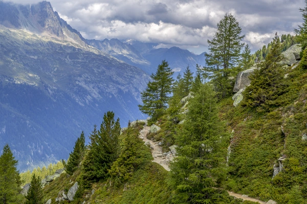 Marché immobilier en Savoie, Haute-Savoie et Isère 2025