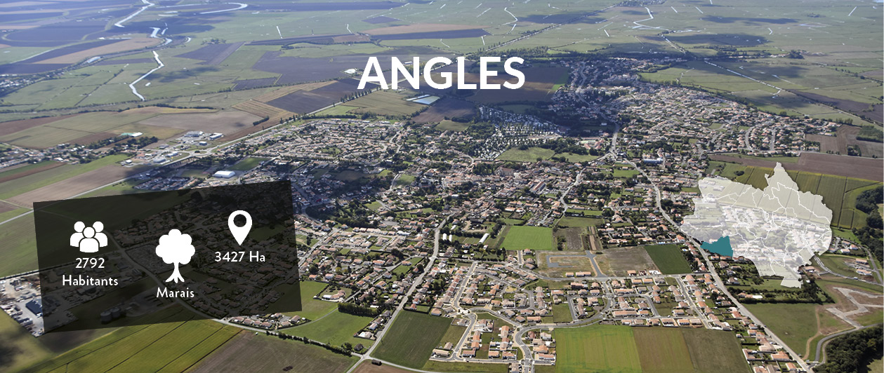 Angles