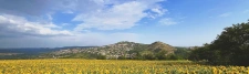 Pour moi, l'immobilier est avant tout une histoire de confiance. Mon accompagnement repose sur trois piliers : l'écoute, la transparence et la proximité.  Mon engagement ? Vous offrir un conseil honnête et une maîtrise du marché local pour concrétiser votre projet en toute sérénité.