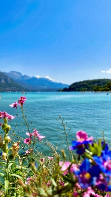 capifrance
