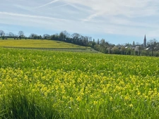 capifrance