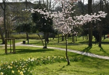 Saint-Brice-sous-Forêt
