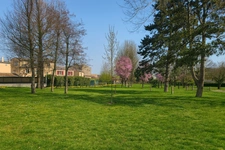 Saint-Brice-sous-Forêt