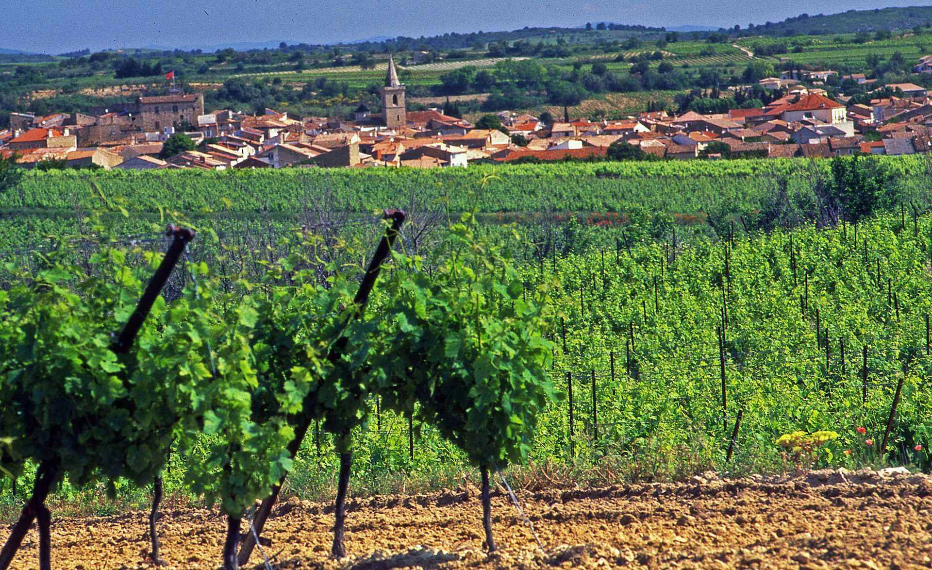 capifrance