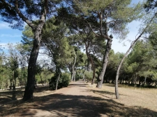 Patrizia SOULLIER